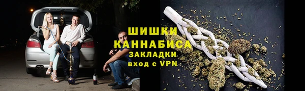 шишки Богданович