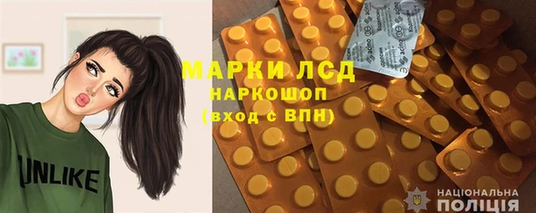 хмурый Белокуриха
