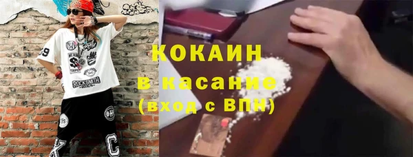 шишки Богданович