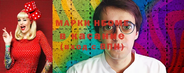 гидра Богородск