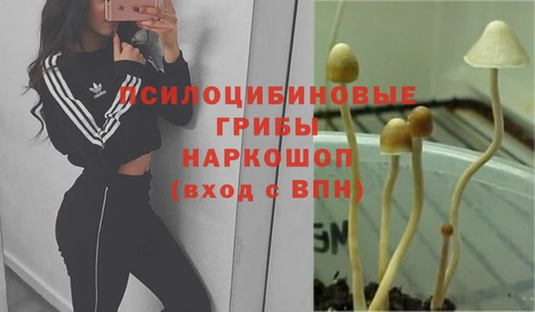 амф Бугульма
