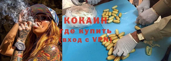 гидра Богородск