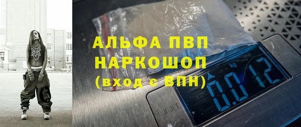 гидра Богородск