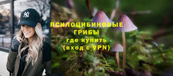 шишки Богданович
