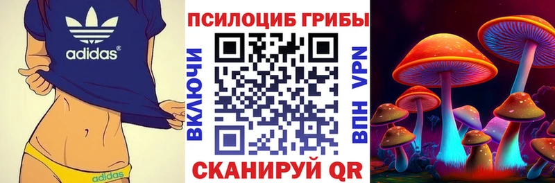 ссылка на мегу рабочий сайт  Бежецк  Галлюциногенные грибы GOLDEN TEACHER  дарнет шоп 