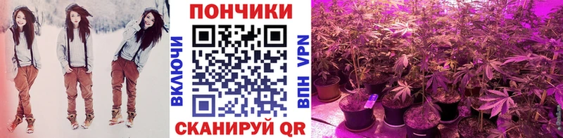 Каннабис Ganja Бежецк